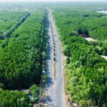 TP.Hồ Chí Minh điều chỉnh dự án tuyến đường sắt đô thị đi Cần Giờ