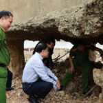 Khởi tố vụ án hình sự liên quan sự cố cầu Sông Lô