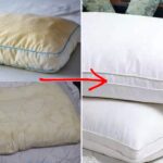 Bật mí cách đánh bay vết ố vàng trên gối hiệu quả, nhanh chóng