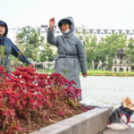 Miền Bắc hanh khô, miền Trung giảm mưa