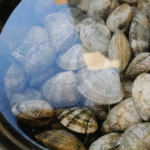 Rửa ngao ốc, người cho ớt, người cho rượu: Tất cả đều sai, người bán hải sản đã dạy tôi mẹo thực sự hiệu quả này